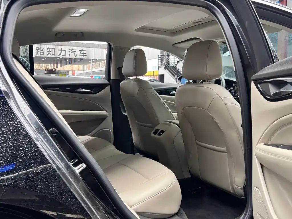 Buick Regal — миниатюра 20