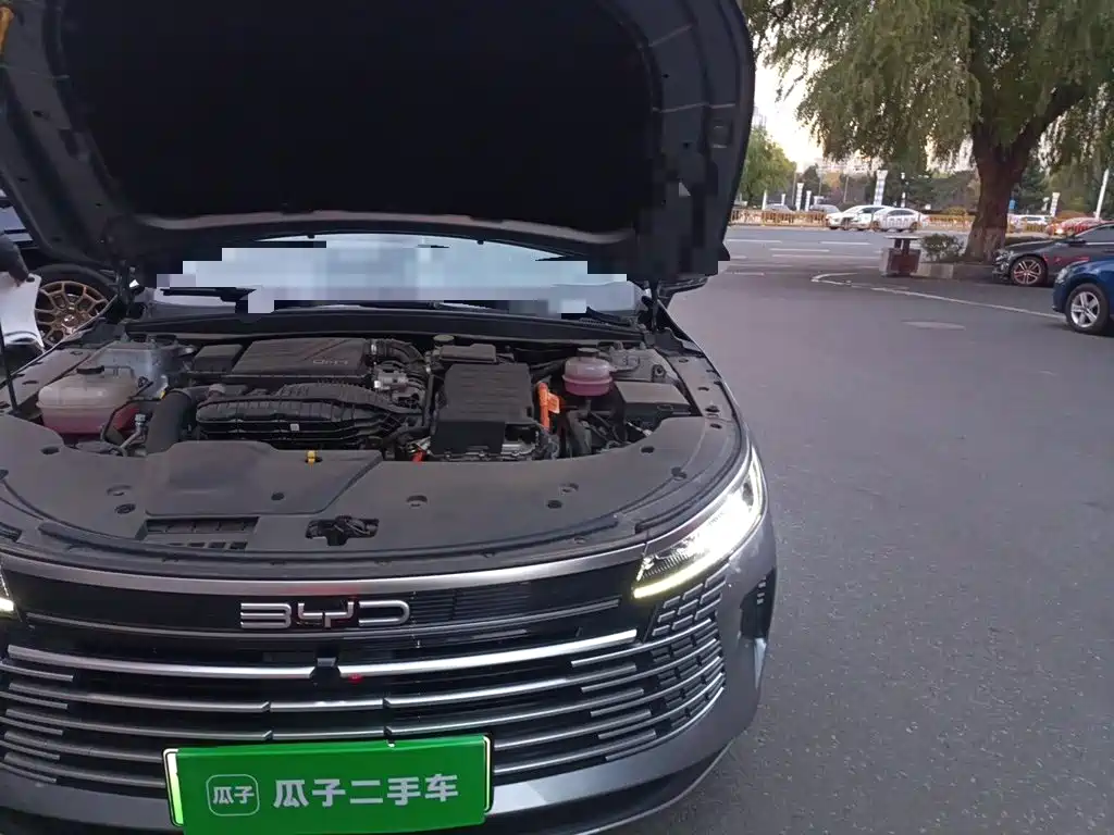 BYD Destroyer 05 — миниатюра 22