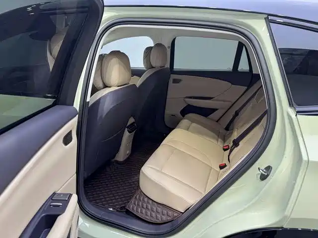 Hongqi Красный флаг Skyman 06 — миниатюра 11