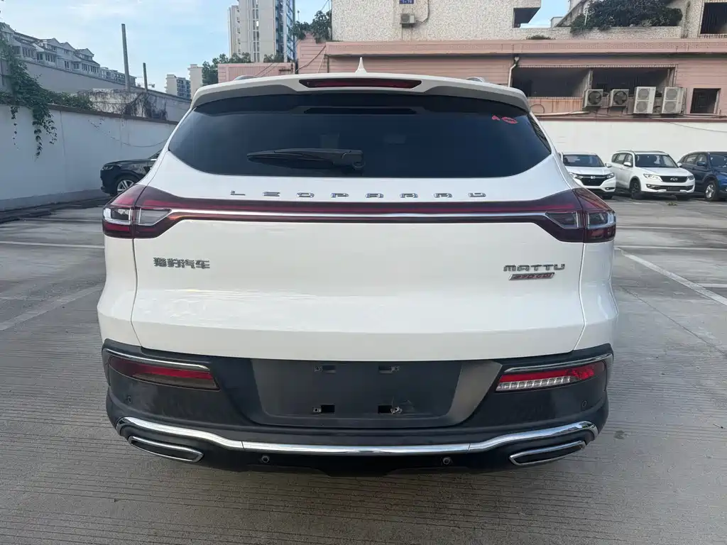 Leopaard Mattu — миниатюра 4
