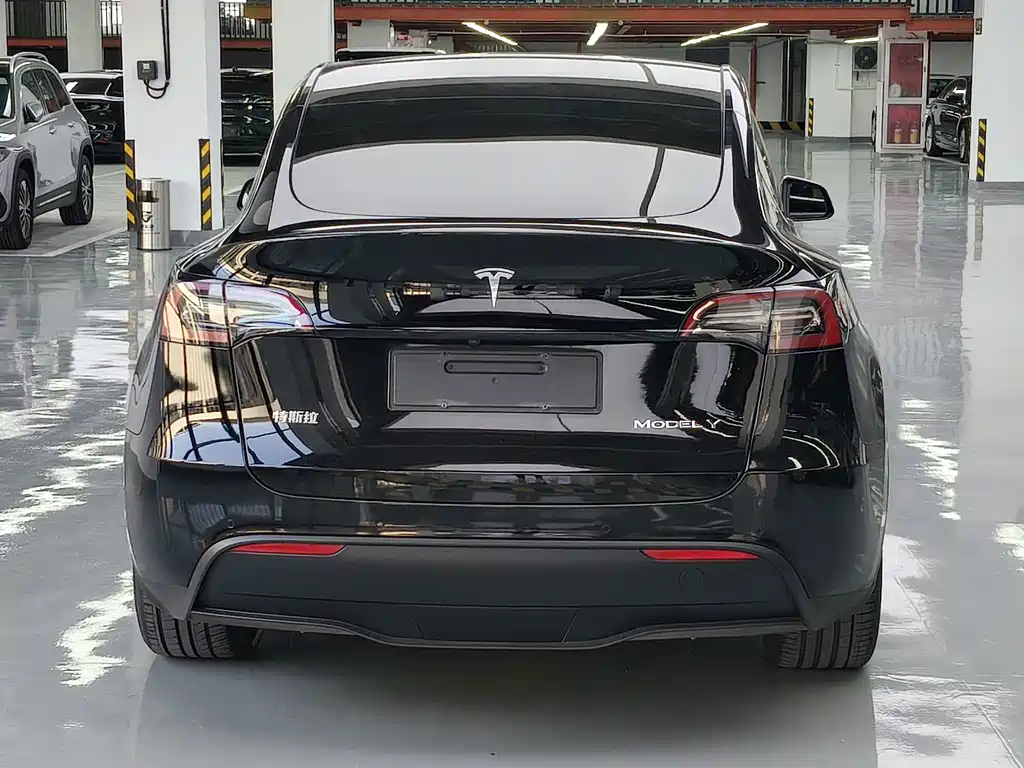 Tesla Model Y — миниатюра 17
