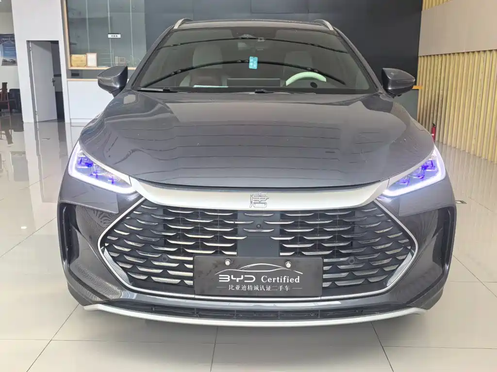 BYD Tang New Energy — миниатюра 2