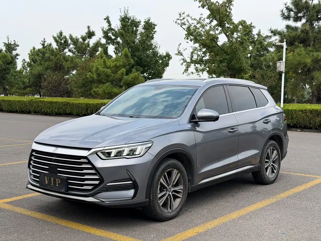 BYD Pro — миниатюра 3