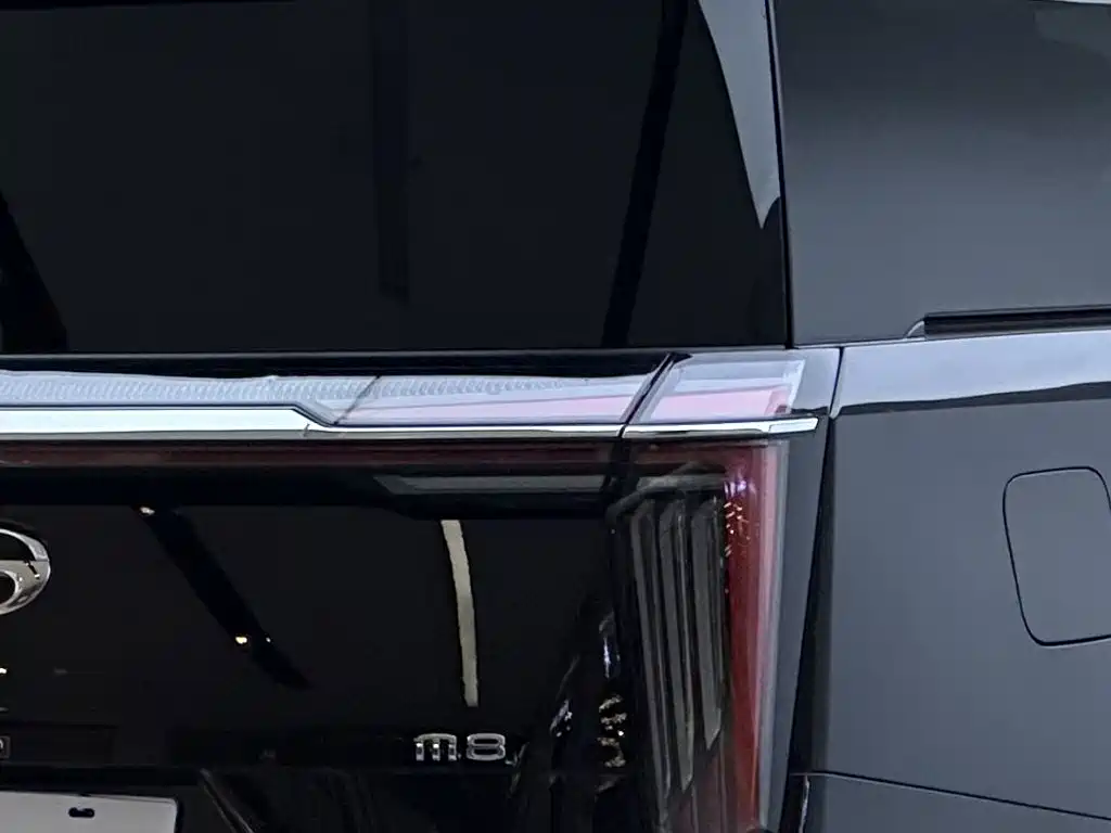 GAC Motor Trumpchi M8 — миниатюра 8