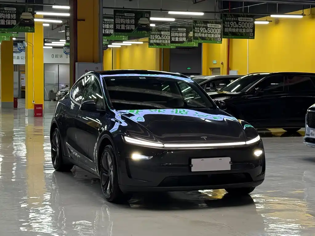 Tesla Model Y — миниатюра 3
