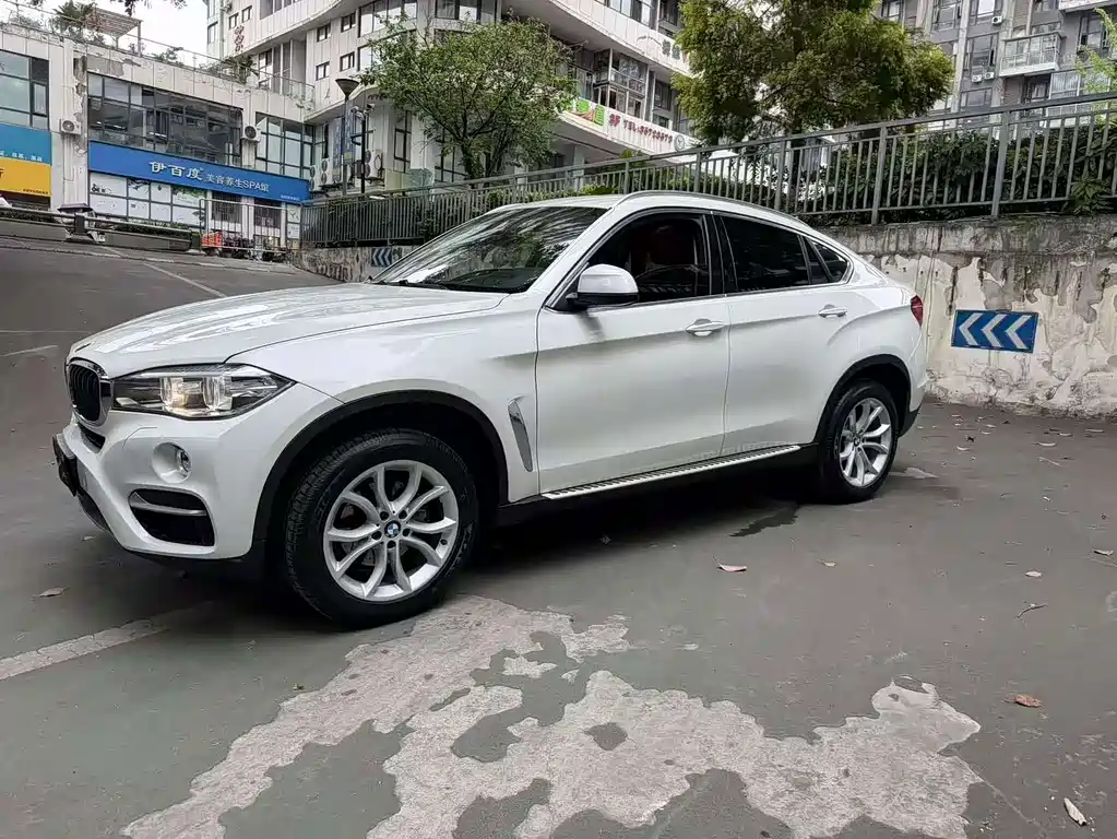 BMW X6 — миниатюра 5