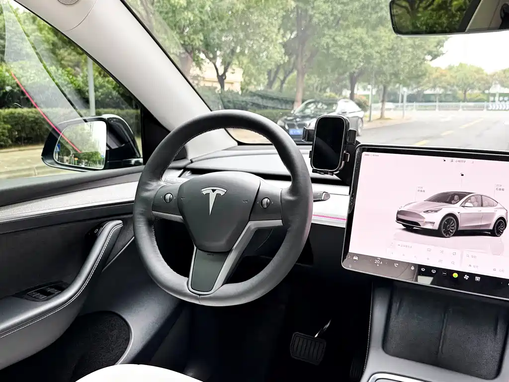 Tesla Model Y — миниатюра 12