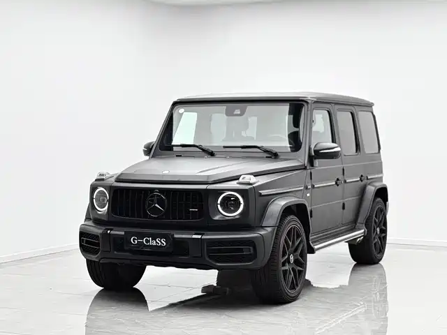 MERCEDES-BENZ  G CLASS 2019