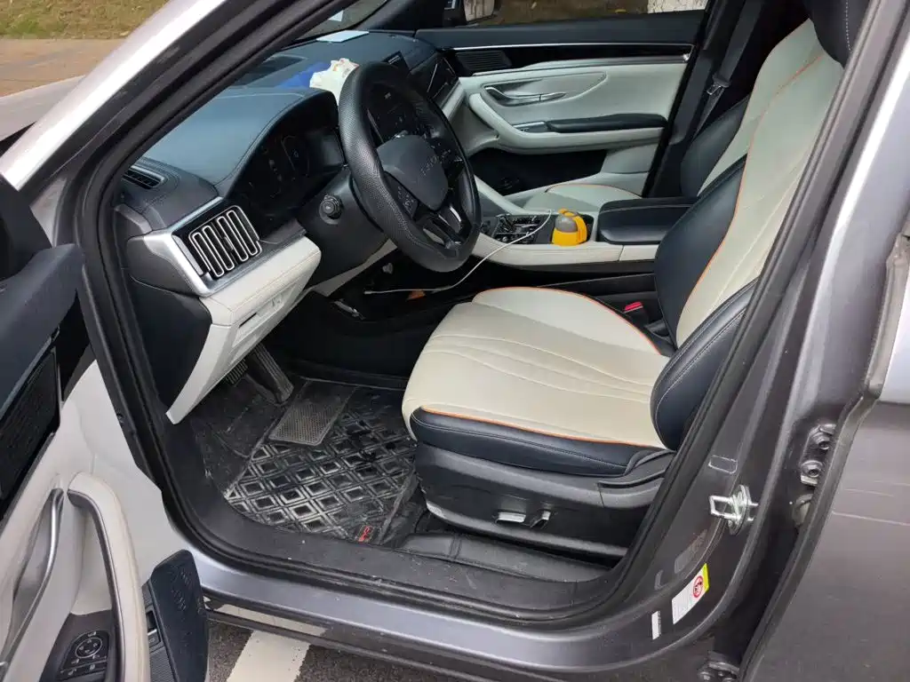 BYD PLUS New Energy — миниатюра 14