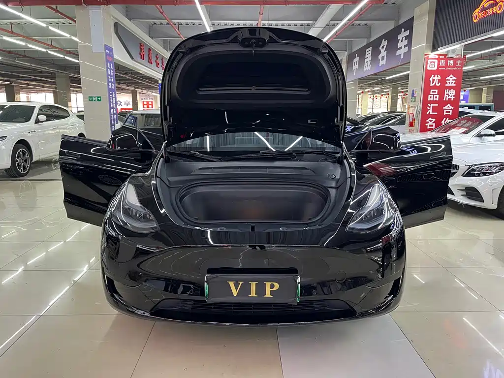 Tesla Model Y — миниатюра 18