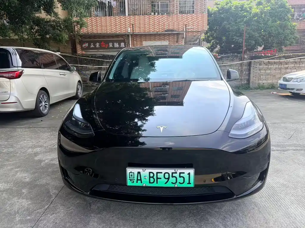 Tesla Model Y — миниатюра 2