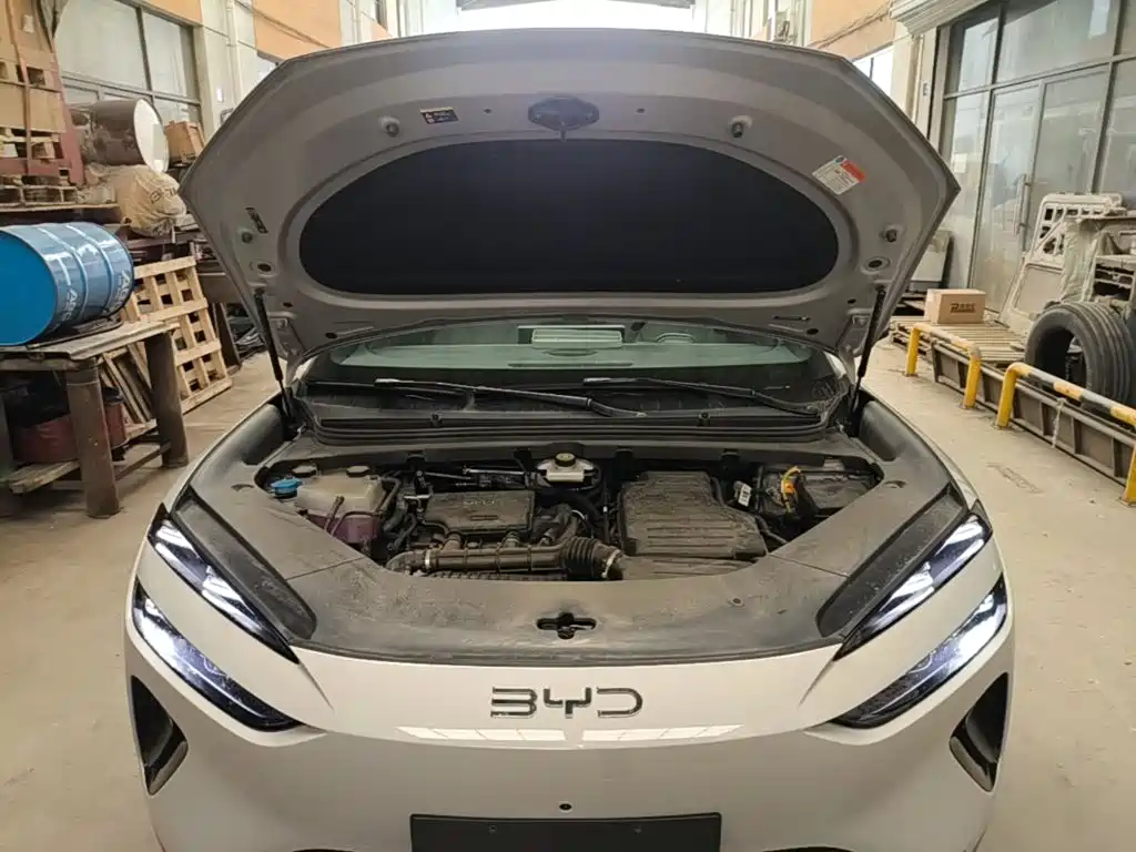 BYD Sealion 06 — миниатюра 20