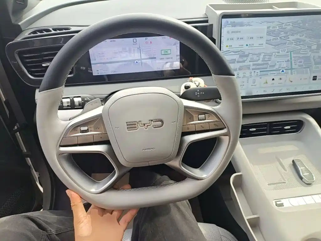 BYD Sealion 06 — миниатюра 11