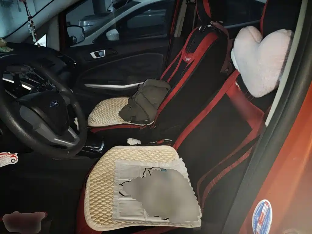 Ford Ecosport — миниатюра 16
