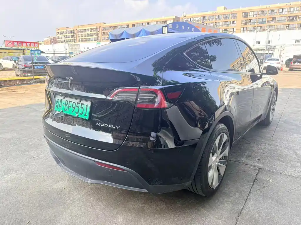 Tesla Model Y — миниатюра 4