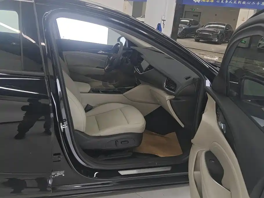 Buick Regal — миниатюра 8
