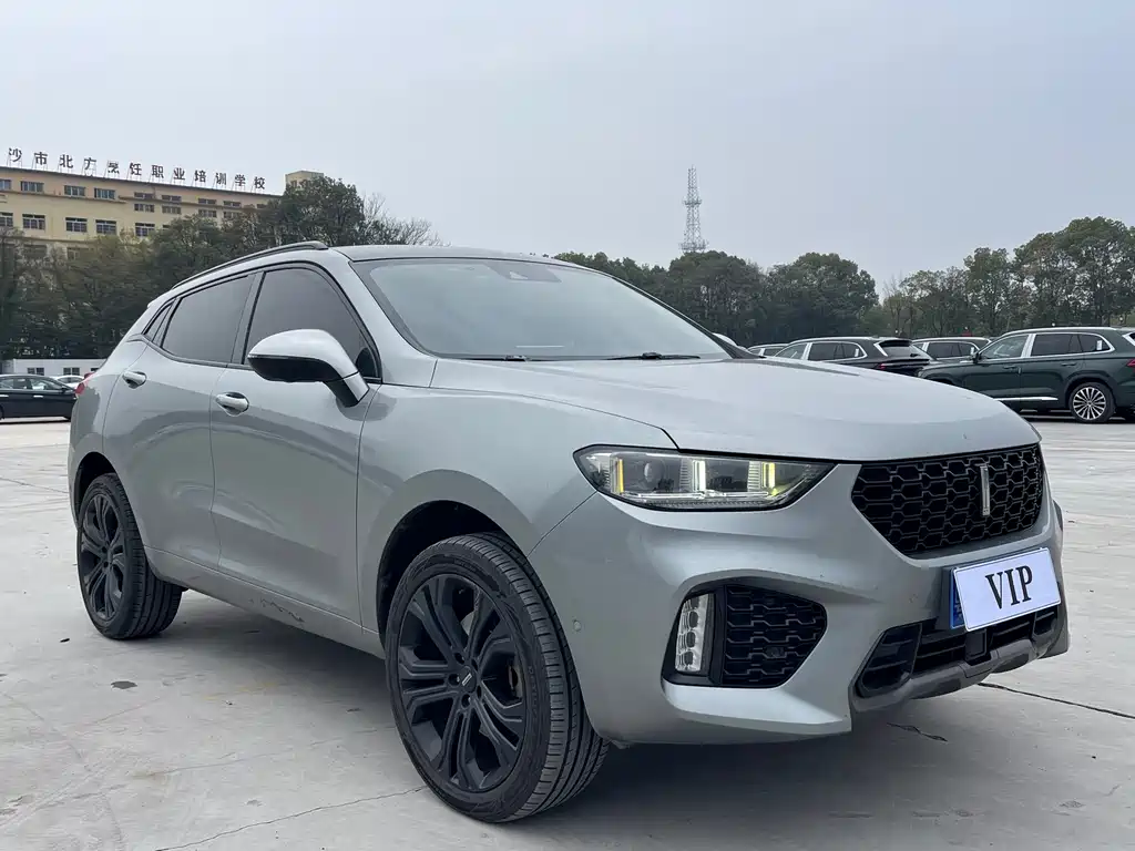 WEI PAI WEI BRAND VV5