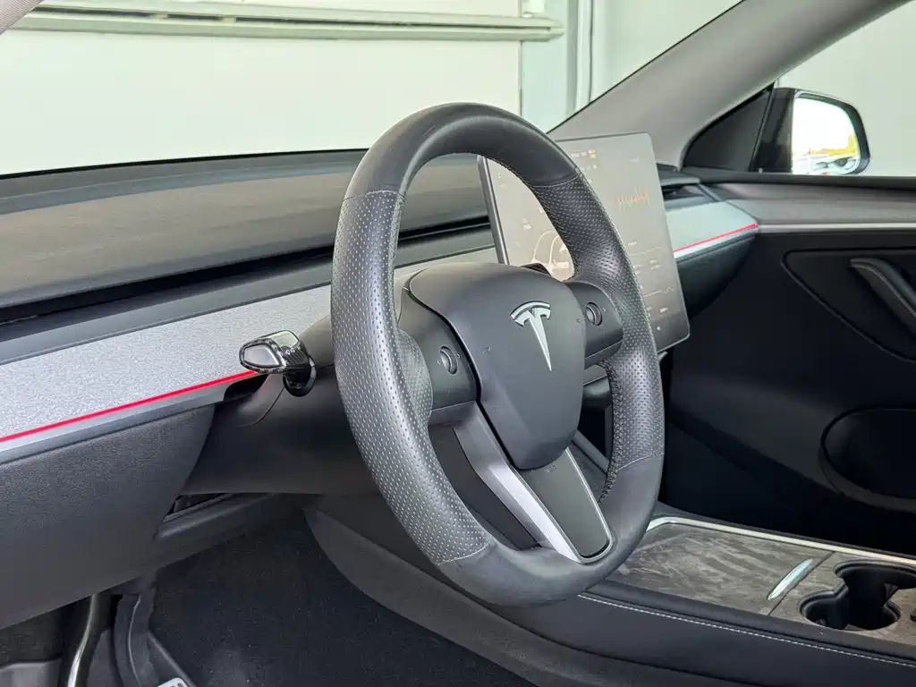 Tesla Model Y — миниатюра 10