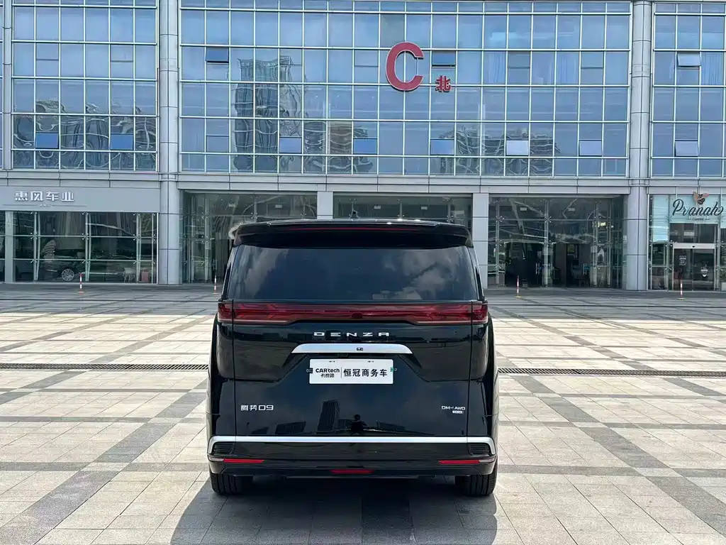 Denza Denza D9 — миниатюра 7