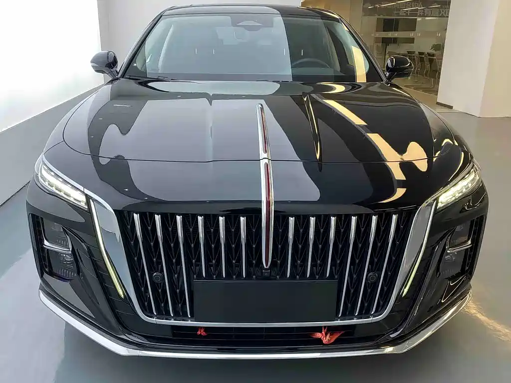 Hongqi H5 2023 2.0T AT