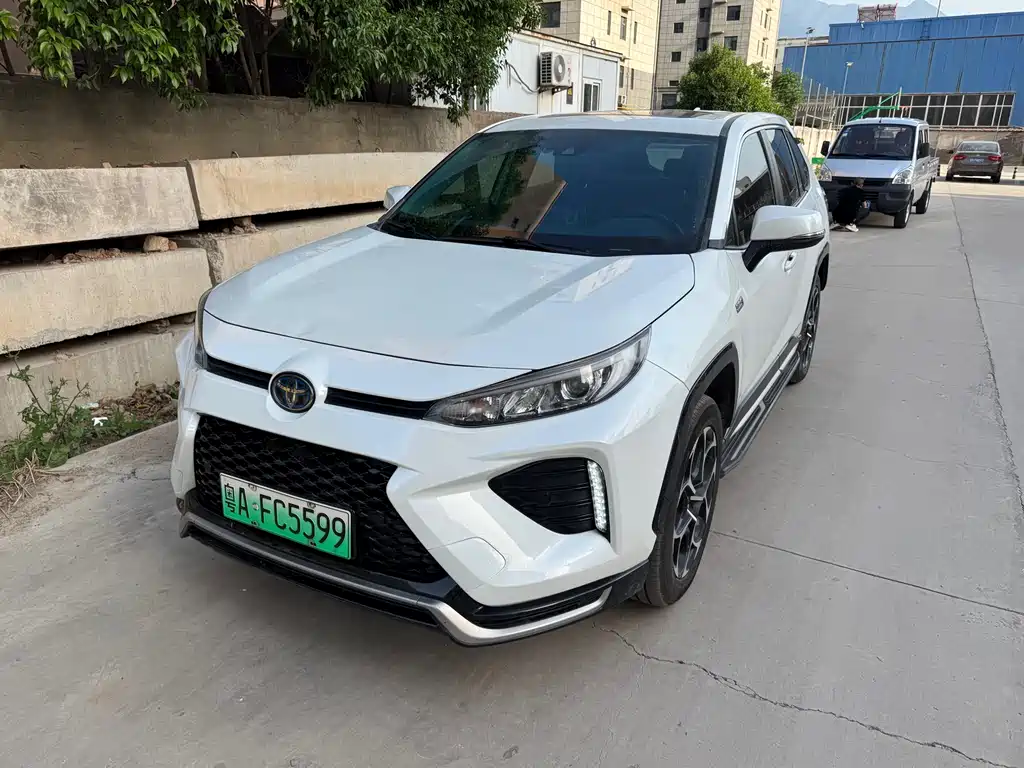 Toyota Wildlander New Energy 2021