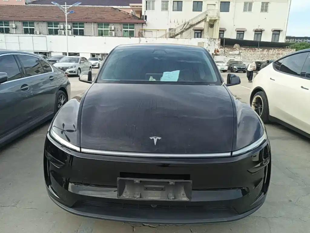 Tesla Model Y — миниатюра 3