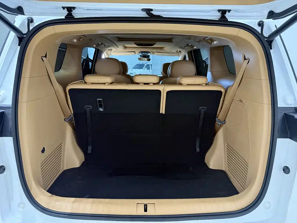 Voyah Dreamer PHEV Ultra Long Range Flagship Edition, фото 19
