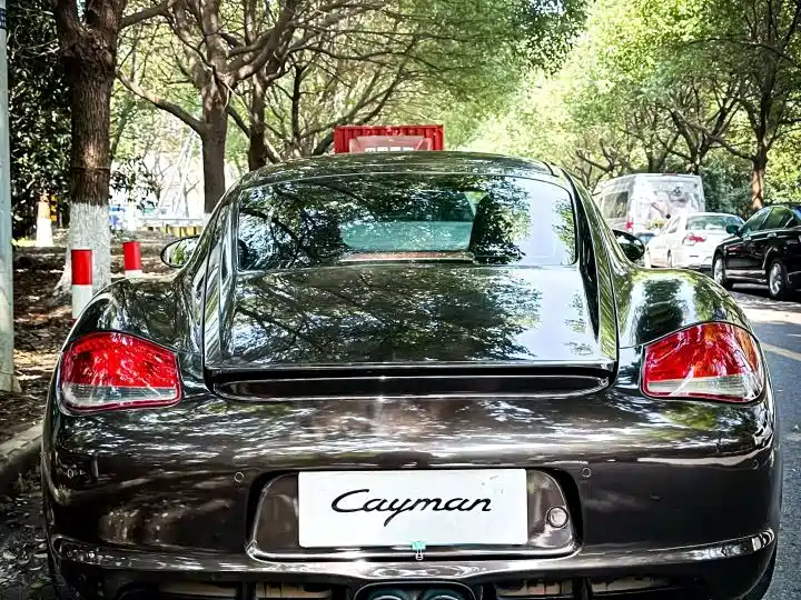 Porsche Cayman — миниатюра 4