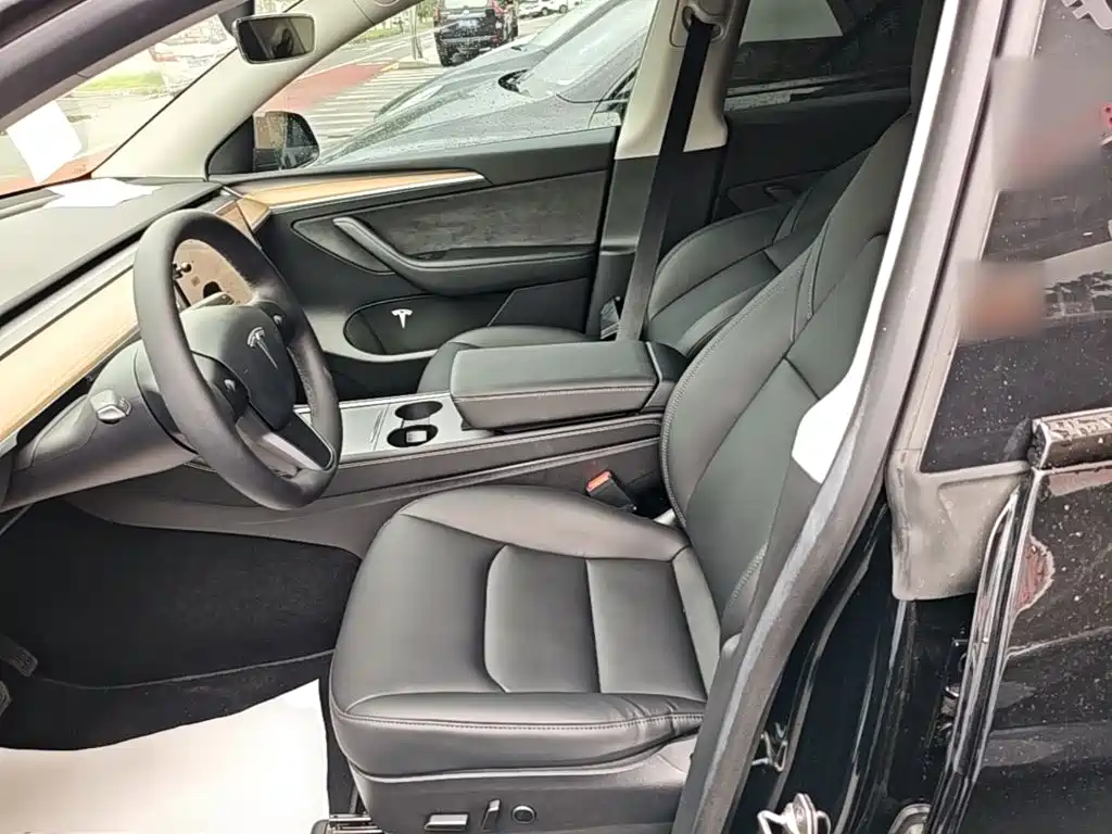 Tesla Model Y — миниатюра 15