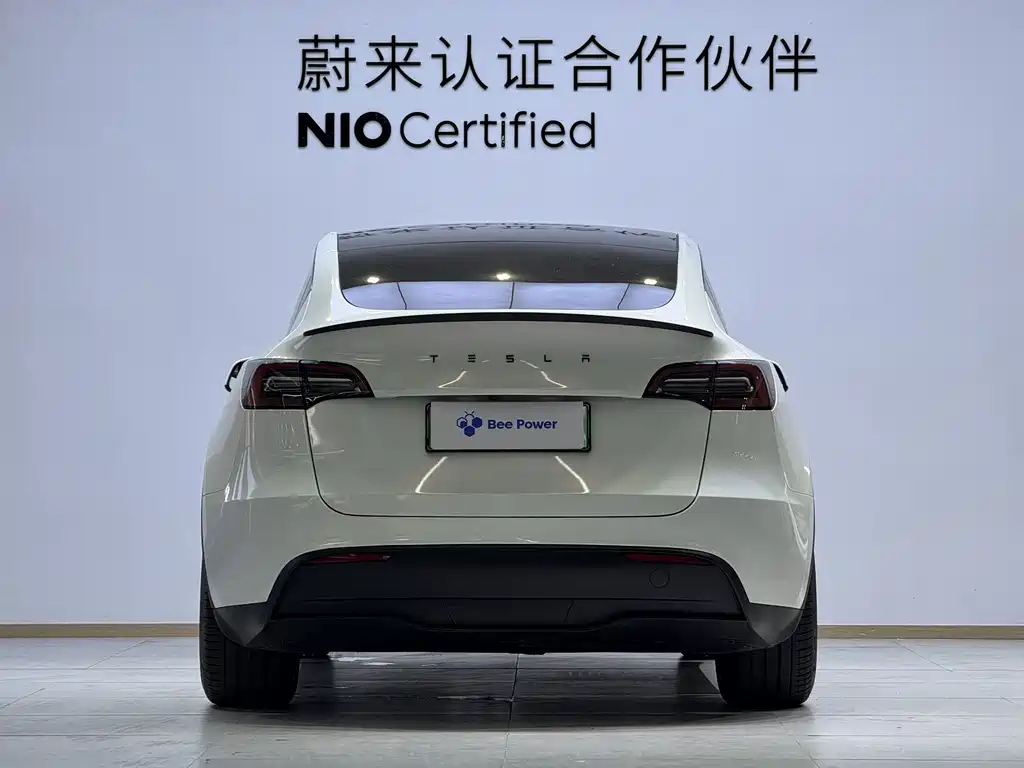 Tesla Model Y — миниатюра 7