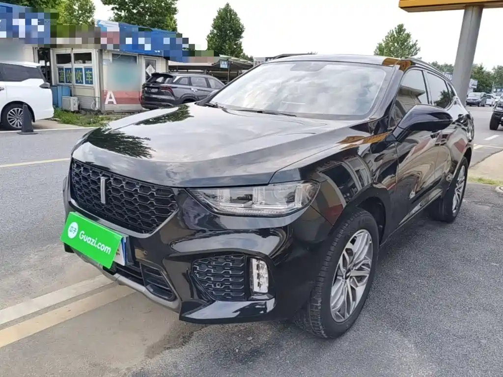 2017 Wey VV5 - zdjęcie 1 z 25