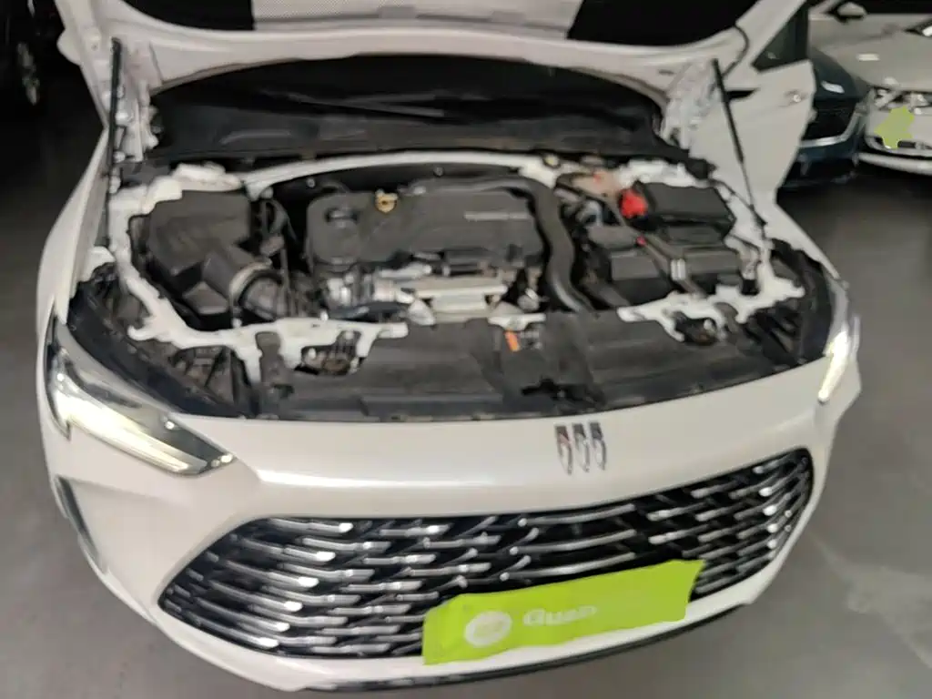 Buick Regal — миниатюра 20