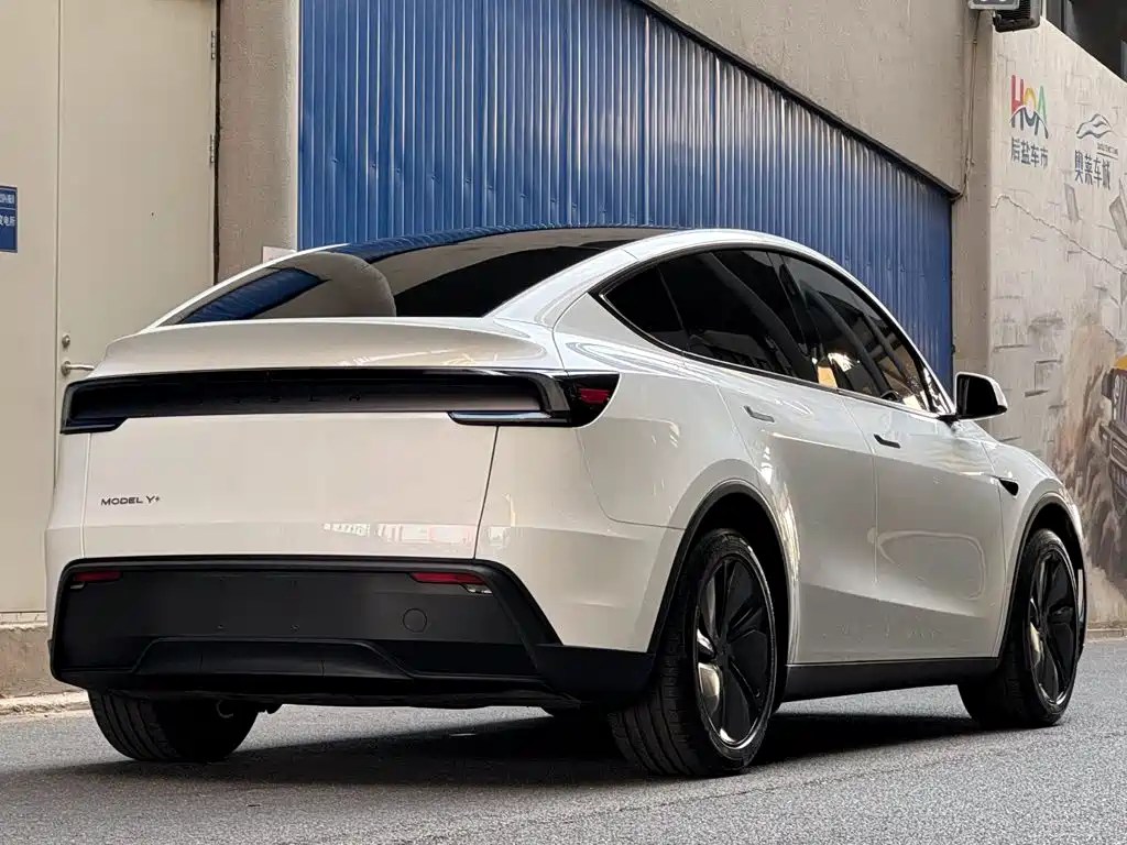 Tesla Model Y — миниатюра 5