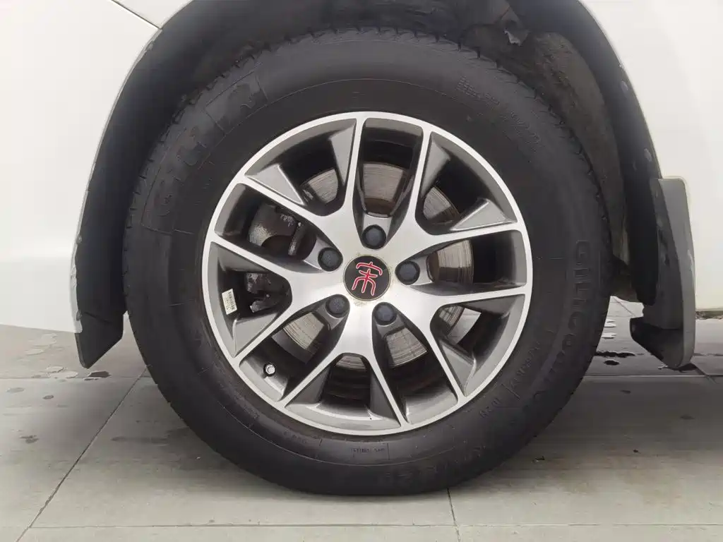 BYD Song — миниатюра 17