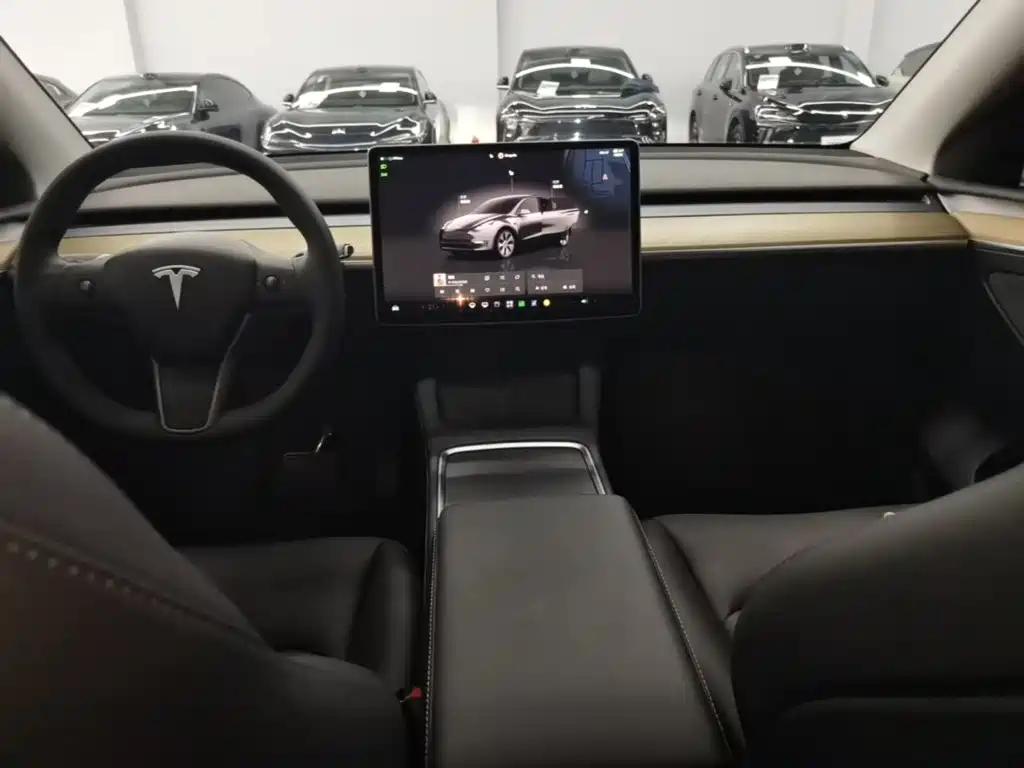 Tesla Model Y — миниатюра 10