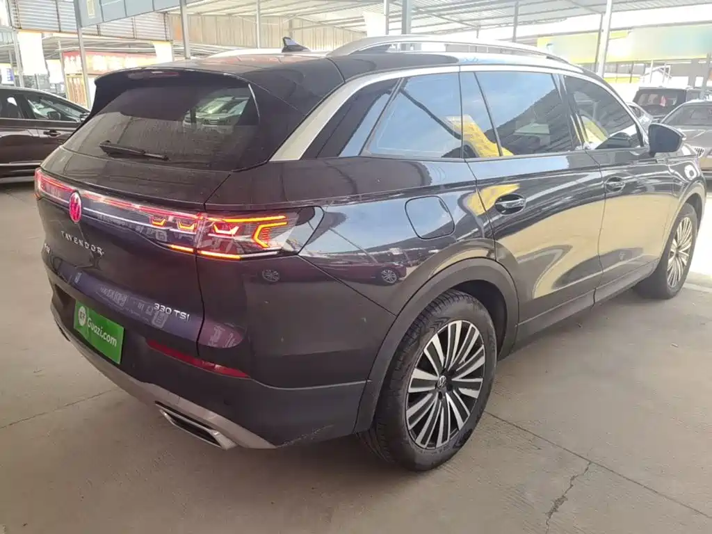 Volkswagen Tavendor — миниатюра 7