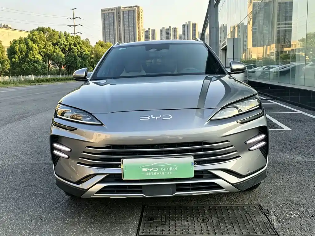 BYD PLUS New Energy — миниатюра 2