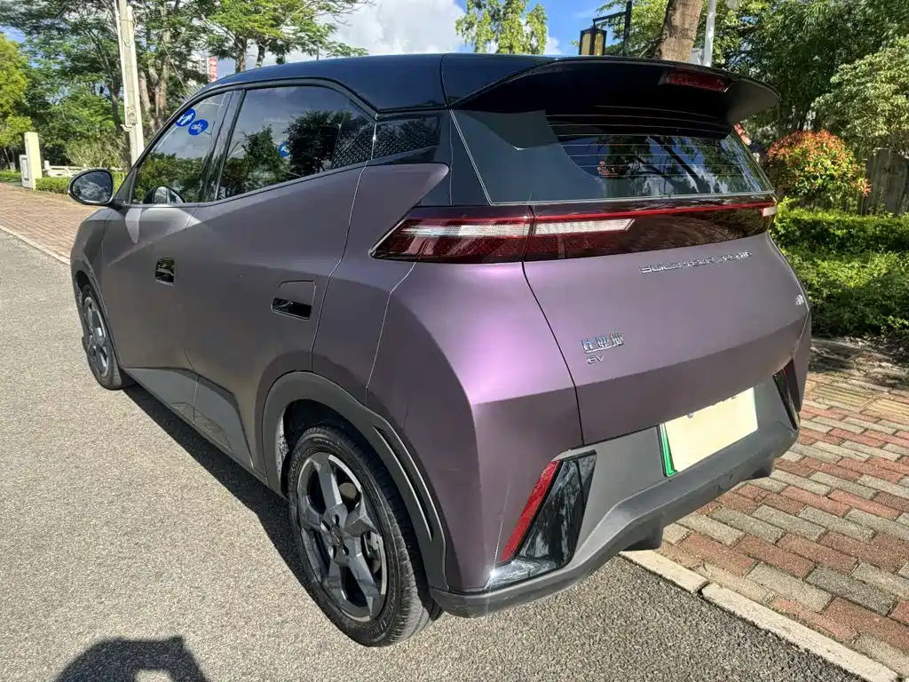 BYD Seagull 2024 305km Freedom
