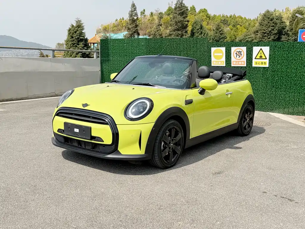 Mini Mini 2023