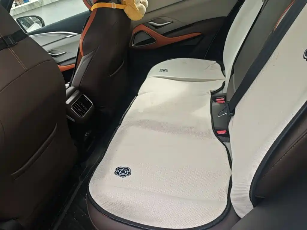 BYD Pro New Energy — миниатюра 17