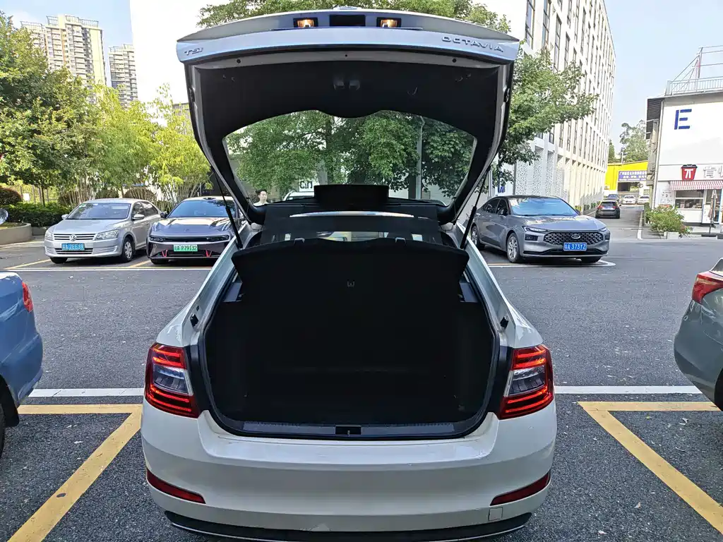 Skoda Octavia — миниатюра 23