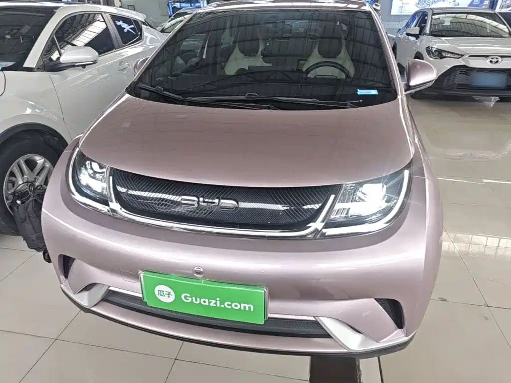 BYD Dolphin — миниатюра 3