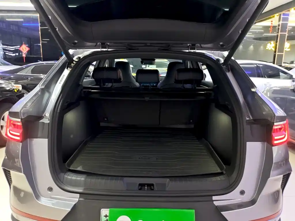 BYD PLUS New Energy — миниатюра 19