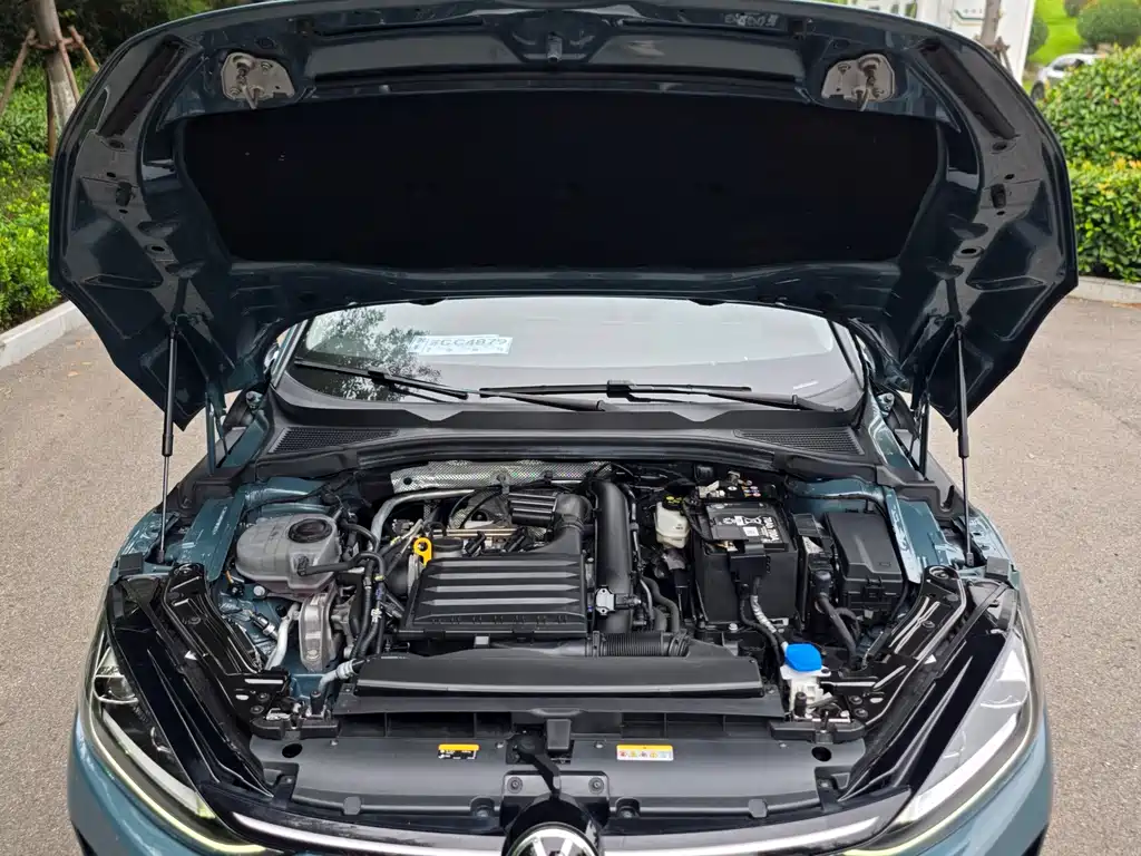 Volkswagen Lamando — миниатюра 10