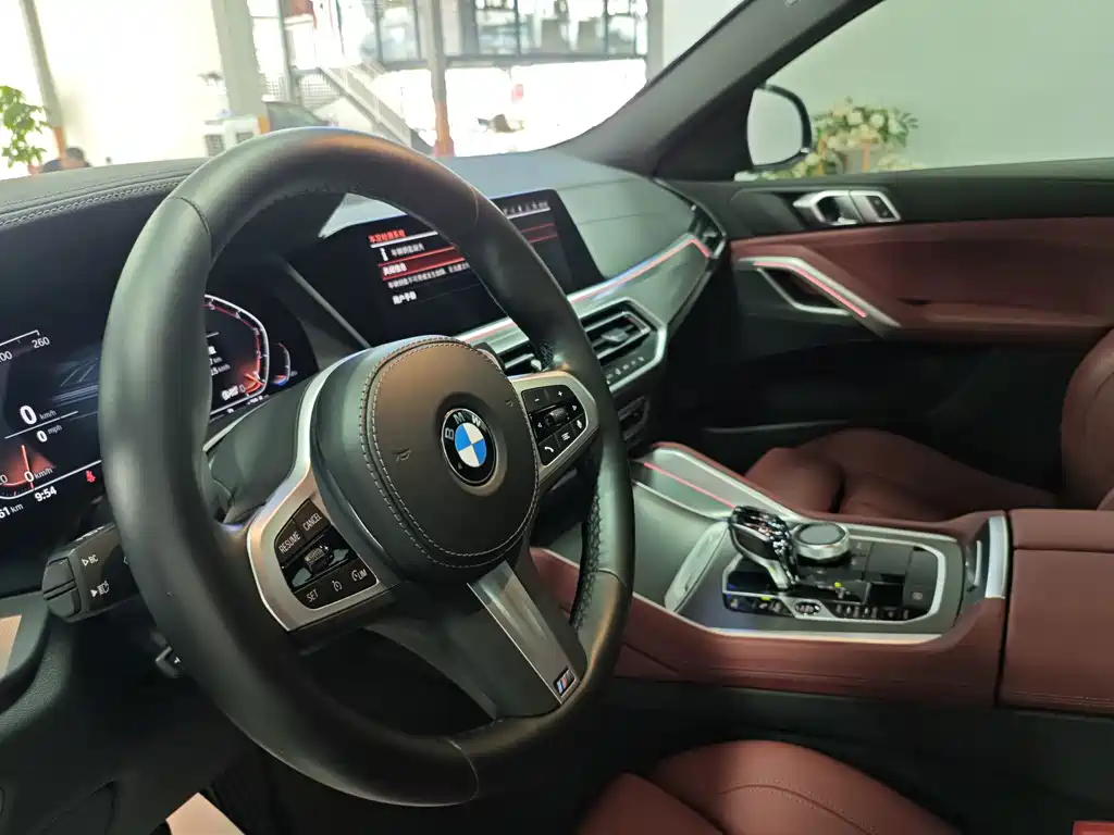 BMW X6 — миниатюра 7
