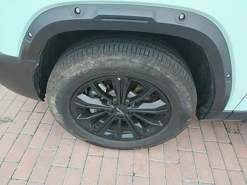 Haval Menglong New Energy — миниатюра 23