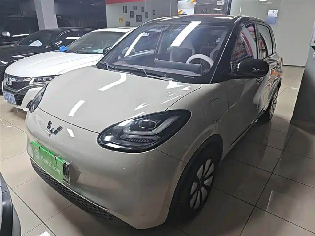 Wuling Bingo 2024