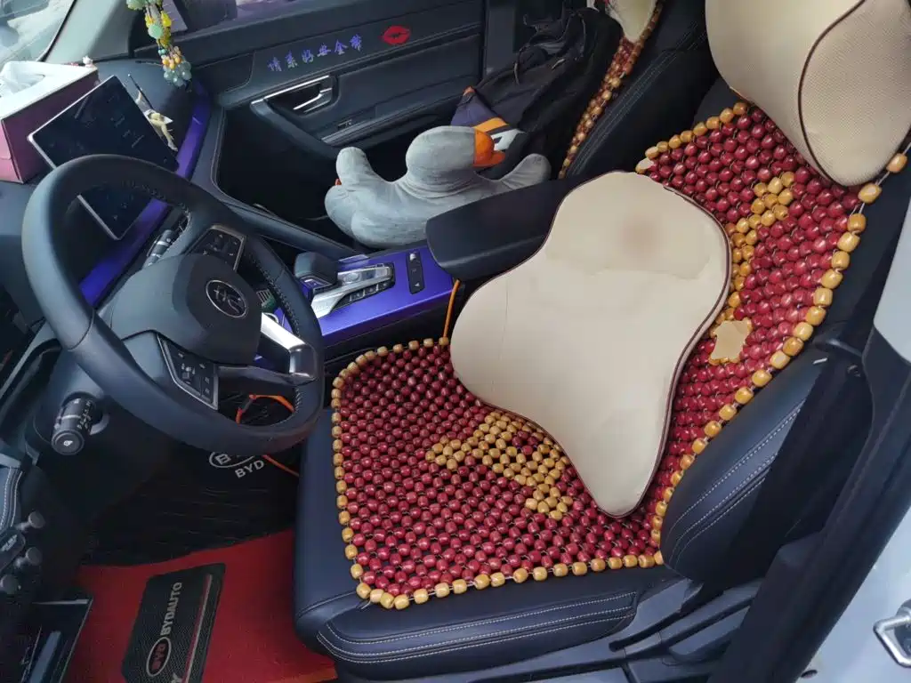 BYD Pro — миниатюра 11