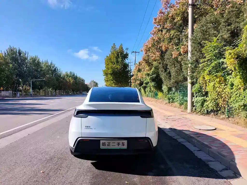 Tesla Model Y — миниатюра 5