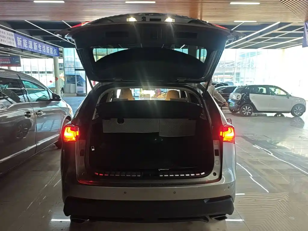 Lexus NX — миниатюра 19